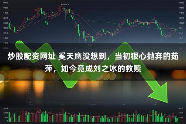 炒股配资网址 奚天鹰没想到，当初狠心抛弃的茹萍，如今竟成刘之冰的救赎